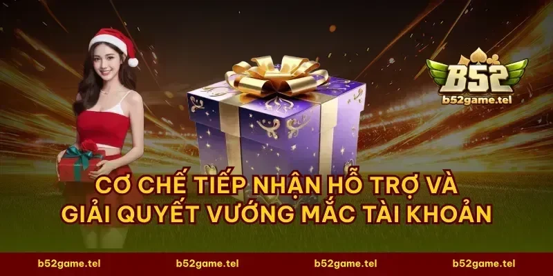 Cơ chế tiếp nhận hỗ trợ và giải quyết vướng mắc tài khoản
