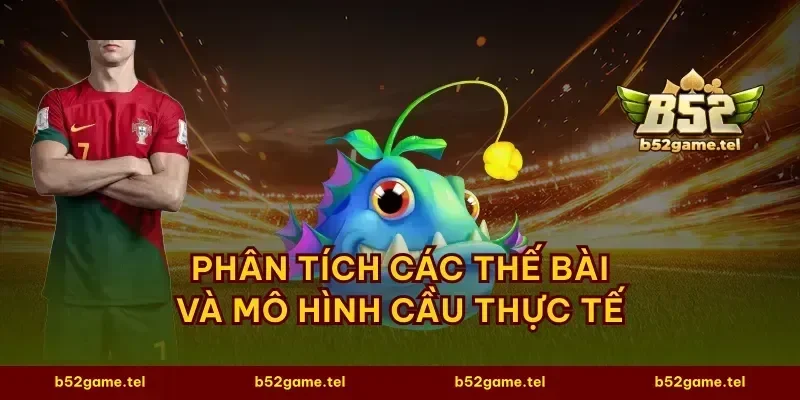 Phân tích các thế bài và mô hình cầu thực tế